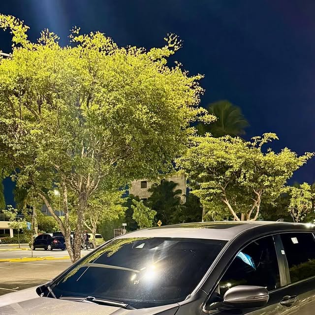 Honda CR-V 2021